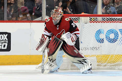 GLENDALE, AZ – JANUARY 16: Antti Raanta #32 of the Arizona Coyotes gets ready to make a save against the San Jose Sharks at Gila River Arena on January 16, 2018 in Glendale, Arizona. (Photo by Norm Hall/NHLI via Getty Images)