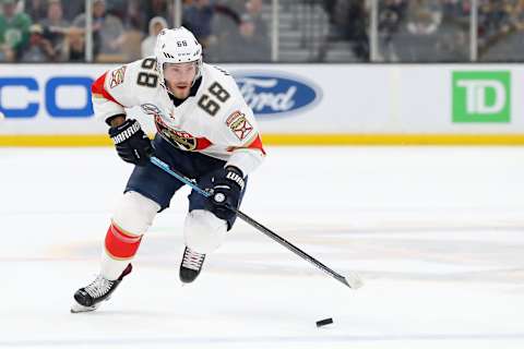 Mike Hoffman #68 of the Florida Panthers. (Photo by Maddie Meyer/Getty Images)