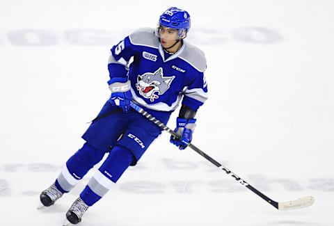 ST CATHARINES, ON – OCTOBER 4: Quinton Byfield #55 of the Sudbury Wolves skates during an OHL game against the Niagara IceDogs at Meridian Centre on October 4, 2018 in St Catharines, Canada. (Photo by Vaughn Ridley/Getty Images)