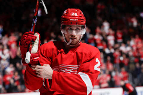 Detroit Red Wings center Pius Suter (24): Brian Bradshaw Sevald-USA TODAY Sports