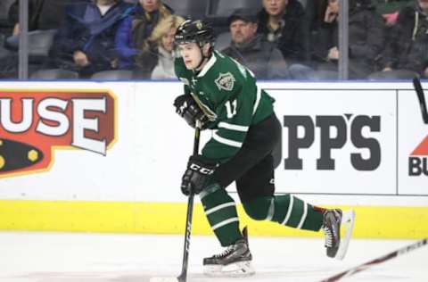 LONDON, ON – FEBRUARY 13: Connor McMichael #11 of the London Knights skates with the puck in the first period during OHL game action against the Guelph Storm at Budweiser Gardens on February 13, 2019 in London, Canada. (Photo by Tom Szczerbowski/Getty Images)