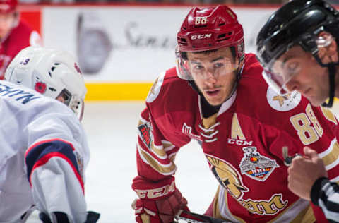 REGINA, SK – MAY 27: Antoine Morand #88 of Acadie-Bathurst Titan lines up for the face-off against the Regina Pats at Brandt Centre – Evraz Place on May 27, 2018, in Regina, Canada. (Photo by Marissa Baecker/Getty Images)