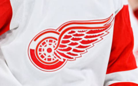 Detroit Red Wings: 3 defenseman to consider signing this off-season