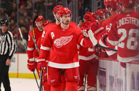 Detroit Red Wings, Dylan Larkin (Photo by Gregory Shamus/Getty Images)