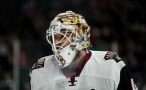 Dec 17, 2016; Saint Paul, MN, USA; Arizona Coyotes goalie Mike Smith (41) against the Minnesota Wild at Xcel Energy Center. The Wild defeated the Coyotes 4-1. Mandatory Credit: Brace Hemmelgarn-USA TODAY Sports