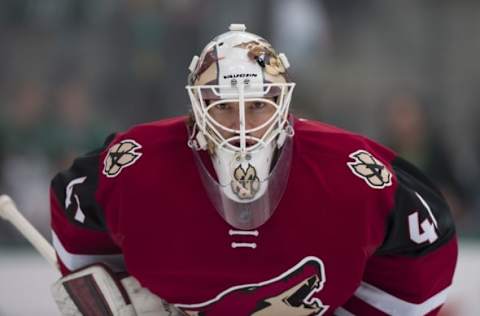 Mar 31, 2016; Dallas, TX, USA; Arizona Coyotes goalie Mike Smith (41) looks on from the ice prior to the game against the Dallas Stars at the American Airlines Center. Mandatory Credit: Jerome Miron-USA TODAY Sports