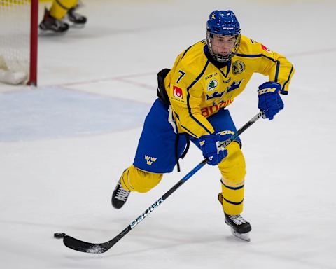 Nils Lundkvist #7 of the Sweden Nationals (Photo by Dave Reginek/Getty Images)*** Local Caption *** Nils Lundkvist