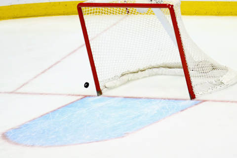 Toronto Maple Leafs net might be filled in the future by their latest draft pick (Photo by Doug Pensinger/Getty Images)