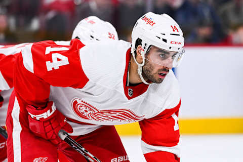 Jan 26, 2023; Montreal, Quebec, CAN; Detroit Red Wings center Robby Fabbri (14) against the Montreal Canadiens during the second period at Bell Centre. Mandatory Credit: David Kirouac-USA TODAY Sports