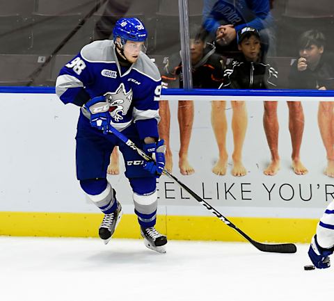 Dmitry Sokolov #98 (Photo by Graig Abel/Getty Images)