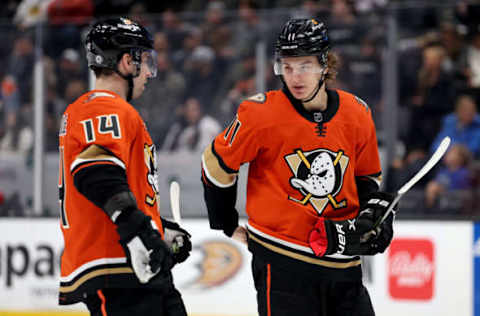 Trevor Zegras, Adam Henrique, Anaheim Ducks (Photo by Sean M. Haffey/Getty Images)