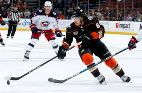 ANAHEIM, CA – NOVEMBER 4: Kiefer Sherwood #64 of the Anaheim Ducks corrals the puck during the third period of the game against the Columbus Blue Jackets at Honda Center on November 4, 2018, in Anaheim, California. (Photo by Debora Robinson/NHLI via Getty Images)