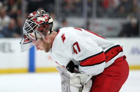 ANAHEIM, CALIFORNIA – OCTOBER 18: James Reimer #47 of the Carolina Hurricanes looks on during the third period of a game against the Anaheim Ducks at Honda Center on October 18, 2019 in Anaheim, California. The Anaheim Ducks defeated the Carolina Hurricanes 4-2.(Photo by Sean M. Haffey/Getty Images)