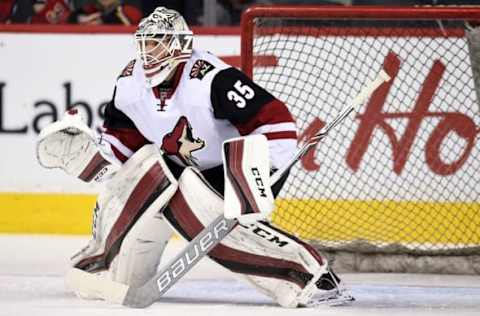 Mar 11, 2016; Calgary, Alberta, CAN; Arizona Coyotes goalie Louis Domingue (35) warms up against the Calgary Flames at Scotiabank Saddledome. Mandatory Credit: Candice Ward-USA TODAY Sports