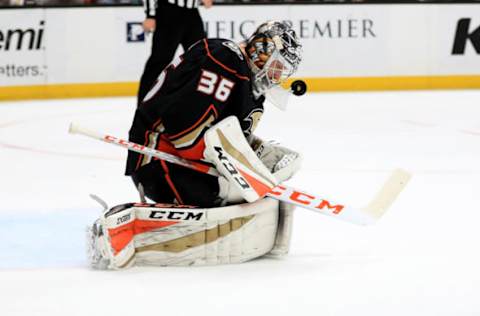 ANAHEIM, CA: John Gibson #36 of the Anaheim Ducks blocks a shot on goal during the second period of a game against the Calgary Flames at Honda Center on December 29, 2017. (Photo by Sean M. Haffey/Getty Images)