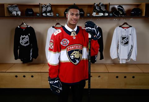 Serron Noel (Photo by Jeff Vinnick/NHLI via Getty Images)