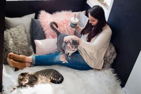 A customer pets cats while drinking coffee at the flagship Washington, D.C. location of cat cafe Crumbs & Whiskers.