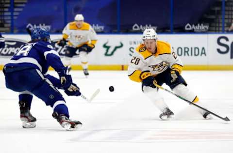 Nashville Predators (Credit: Kim Klement-USA TODAY Sports)