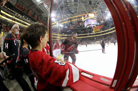 Carolina Hurricanes  (Photo by Bruce Bennett/Getty Images)