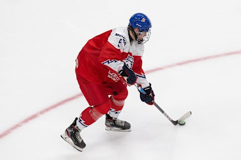 Stanislav Svozil #5 of the Czech Republic (Photo by Codie McLachlan/Getty Images)