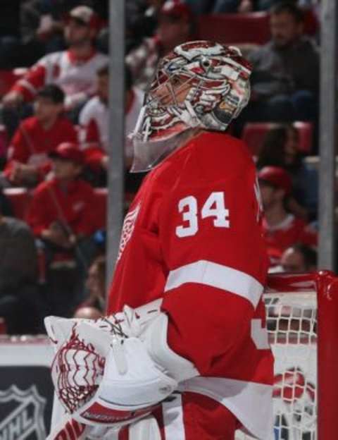 Feb 6, 2016; Detroit, MI, USA; Detroit Red Wings goalie Petr Mrazek (34) looks towards the bench during a time out in the second period of the game against the New York Islanders at Joe Louis Arena. Mandatory Credit: Leon Halip-USA TODAY Sports