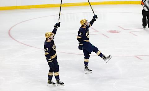 ALBANY, NY – MARCH 24: Ryder Rolston #12 of the Notre Dame Fighting Irish and teammates The Fighting Irish won 2-1 in overtime. (Photo by Richard T Gagnon/Getty Images)