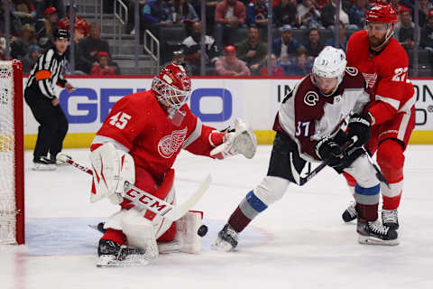 Jonathan Bernier #45 of the Detroit Red Wings (Photo by Gregory Shamus/Getty Images)