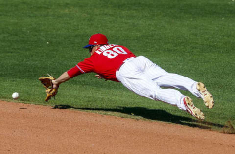 Fielding a 40-Man Spot Isn’t Just a Matter of Your Stats. Photo by Butch Dill – USA TODAY Sports.