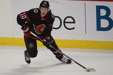 Ottawa Senators left wing Ryan Dzingel (10)Mandatory Credit: Marc DesRosiers-USA TODAY Sports