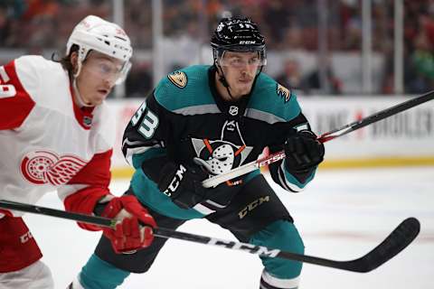 ANAHEIM, CA – OCTOBER 08: Max Comtois #53 of the Anaheim Ducks skates to the puck as Tyler Bertuzzi #59 of the Detroit Red Wings defends during the third period of a game at Honda Center on October 8, 2018 ,in Anaheim, California. (Photo by Sean M. Haffey/Getty Images)