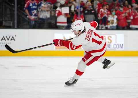 Filip Zadina of the Detroit Red Wings. Mandatory Credit: Stephen R. Sylvanie-USA TODAY Sports