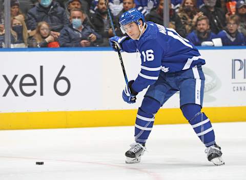 Toronto Maple Leafs (Photo by Claus Andersen/Getty Images)