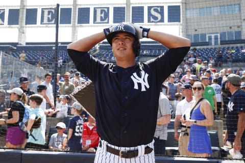 TAMPA, FL – FEBRUARY 23: Anthony Volpe #77 of the New York Yankees looks on during Spring Training at George M. Steinbrenner Field on February 23, 2023 in Tampa, Florida. (Photo by New York Yankees/Getty Images)