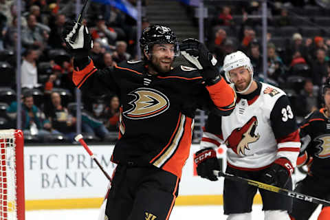 Adam Henrique #14 of the Anaheim Ducks (Photo by Sean M. Haffey/Getty Images)