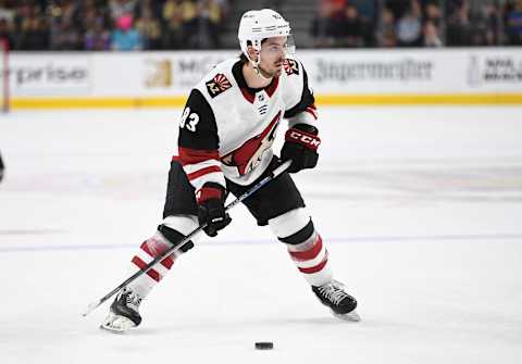 Conor Garland (Photo by Jeff Bottari/NHLI via Getty Images)