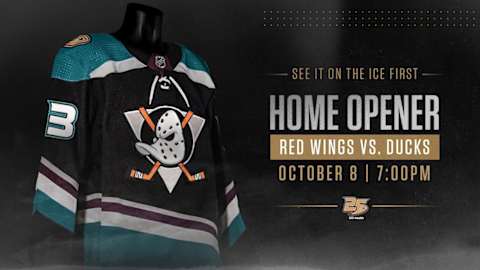 Anaheim Ducks 25th anniversary alternate jersey.