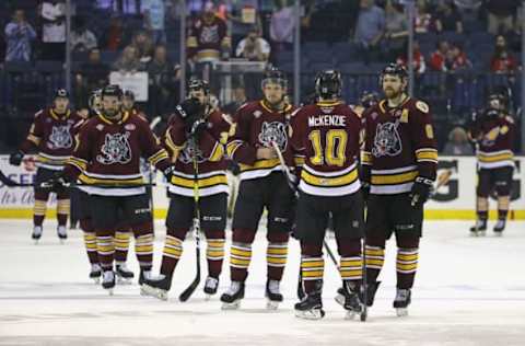 ROSEMONT, ILLINOIS – JUNE 08: Members of the Chicago Wolves watch as the Charlotte Checkers celebrate a win following game Five of the Calder Cup Finals at Allstate Arena on June 08, 2019, in Rosemont, Illinois. The Checkers defeated the Wolves 5-3 to win the Calder Cup. (Photo by Jonathan Daniel/Getty Images)