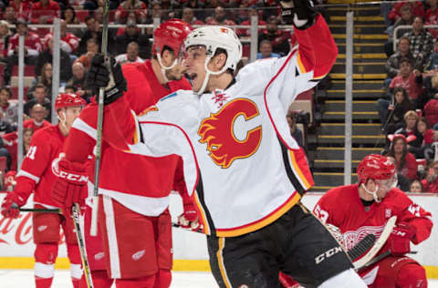 DETROIT, MI – NOVEMBER 20: Garnet Hathaway celebrates his second period goal during an NHL game against the Detroit Red Wings. (Photo by Dave Reginek/NHLI via Getty Images)