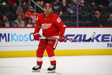 Trevor Daley (Photo by Gregory Shamus/Getty Images)