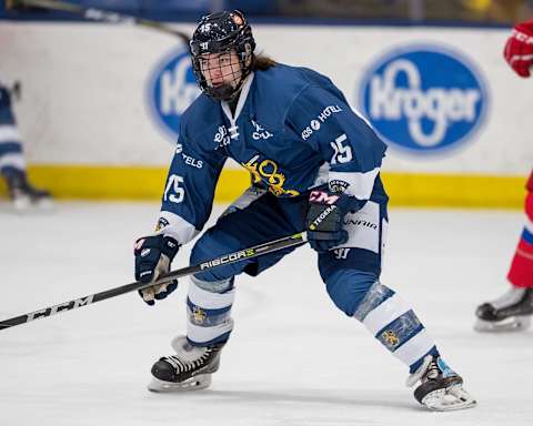 Niklas Nordgren #15 (Photo by Dave Reginek/Getty Images)