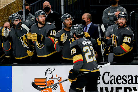 LAS VEGAS, NEVADA – JUNE 14: Alec Martinez #23 of the Vegas Golden Knights . (Photo by Ethan Miller/Getty Images)