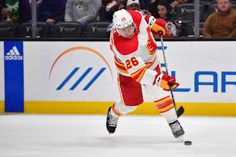 Calgary Flames defenseman Michael Stone  Mandatory Credit: Gary A. Vasquez-USA TODAY Sports