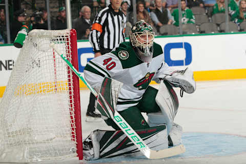 Minnesota Wild 