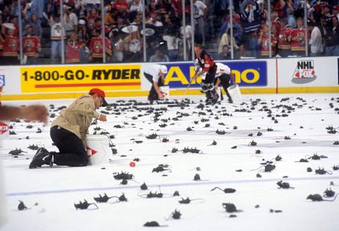 Florida Panthers (Photo by B Bennett/Getty Images)