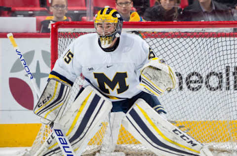 Jack LaFontaine, Michigan Wolverines (Photo by Dave Reginek/Getty Images)