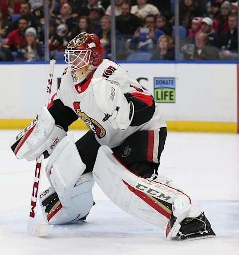 Mike Condon #1, Ottawa Senators  (Photo by Kevin Hoffman/Getty Images)