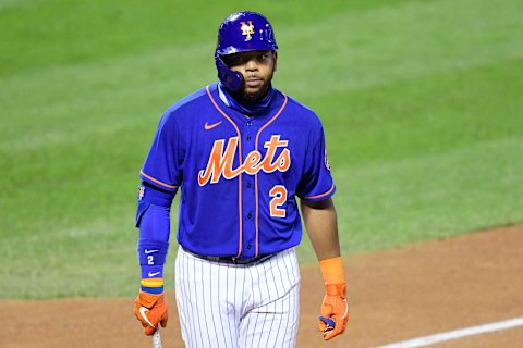 Dominic Smith  of the New York Mets (Photo by Steven Ryan/Getty Images)