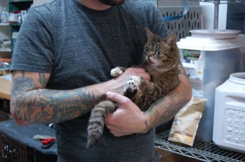 Lil Bub in Bridavsky's arms