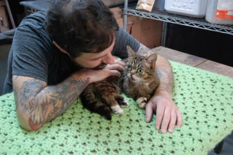 Lil Bub and owner Mike Bridavsky on her green blanket