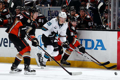 ANAHEIM, CA – OCTOBER 28: Marcus Sorensen #20 of the San Jose Sharks battles for the puck against Sam Steel #34 and Jakob Silfverberg #33 of the Anaheim Ducks during the game on October 28, 2018, at Honda Center in Anaheim, California. (Photo by Debora Robinson/NHLI via Getty Images)